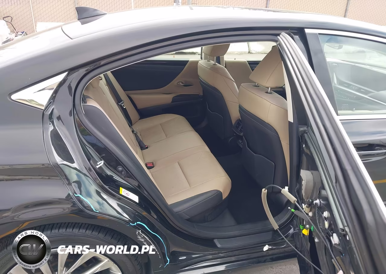2019 Lexus Es 300H Luxury VIN:JTHB21B15K2023777 - 8