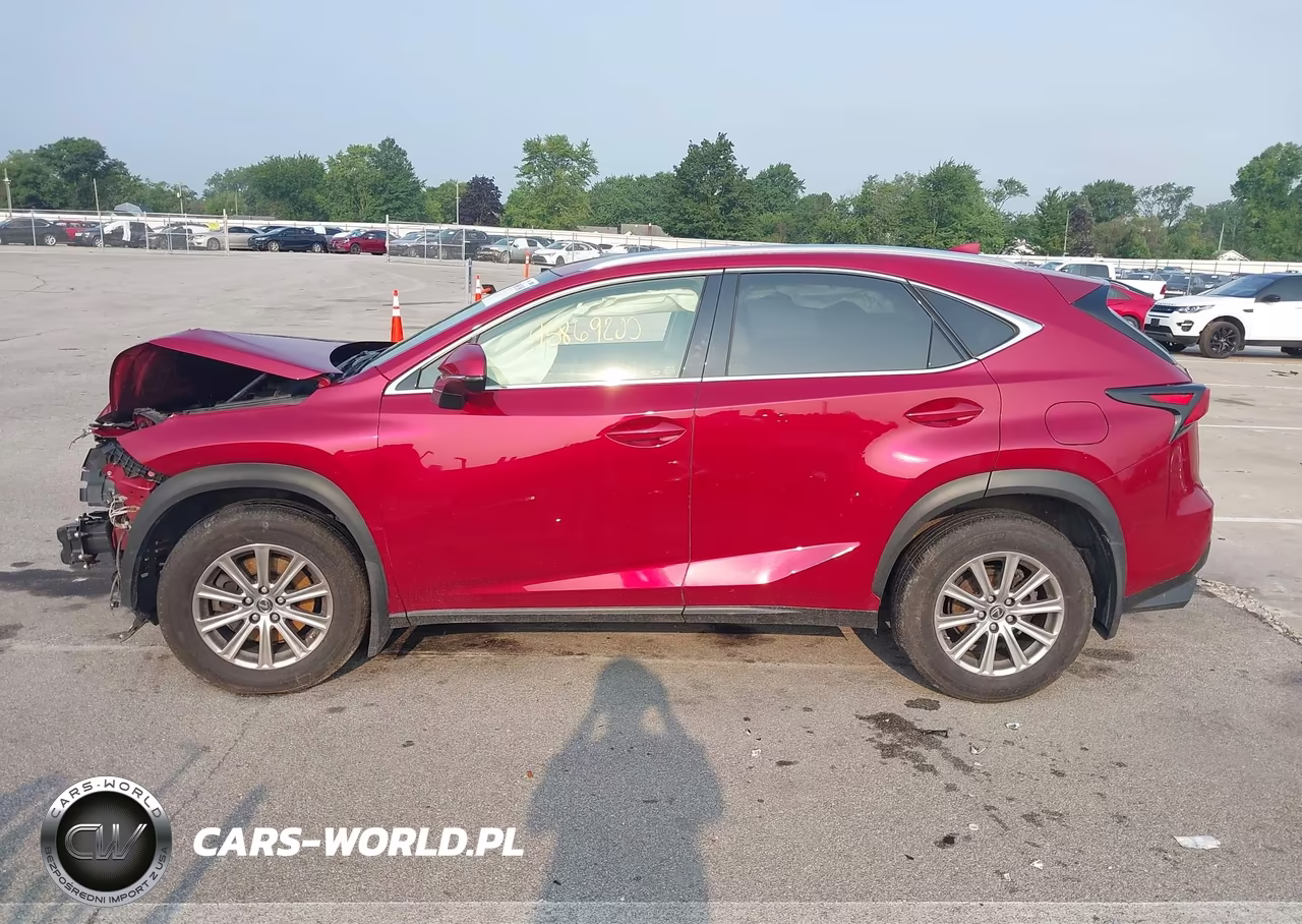 2019 Lexus Nx 300 VIN:JTJBARBZ3K2193836 - 15