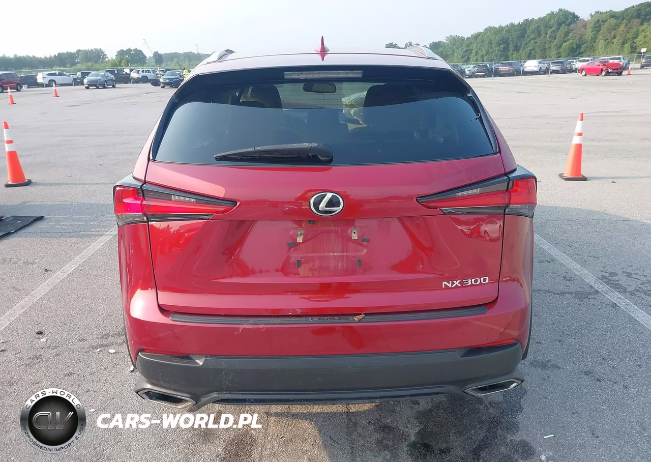 2019 Lexus Nx 300 VIN:JTJBARBZ3K2193836 - 17