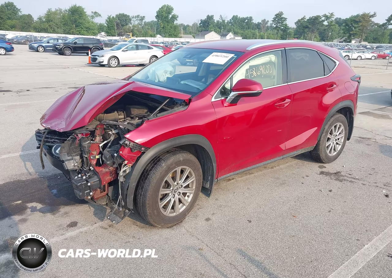 2019 Lexus Nx 300 VIN:JTJBARBZ3K2193836 - 2