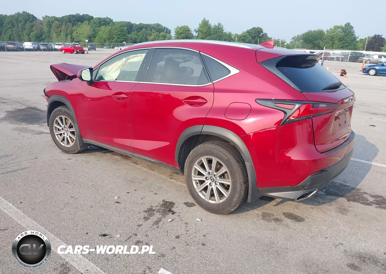 2019 Lexus Nx 300 VIN:JTJBARBZ3K2193836 - 3