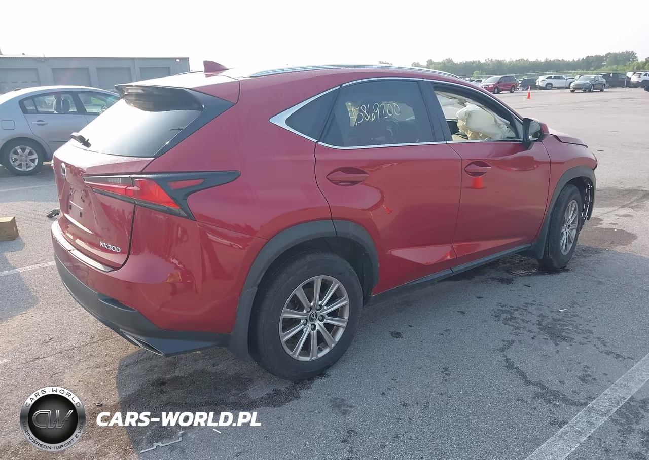 2019 Lexus Nx 300 VIN:JTJBARBZ3K2193836 - 4