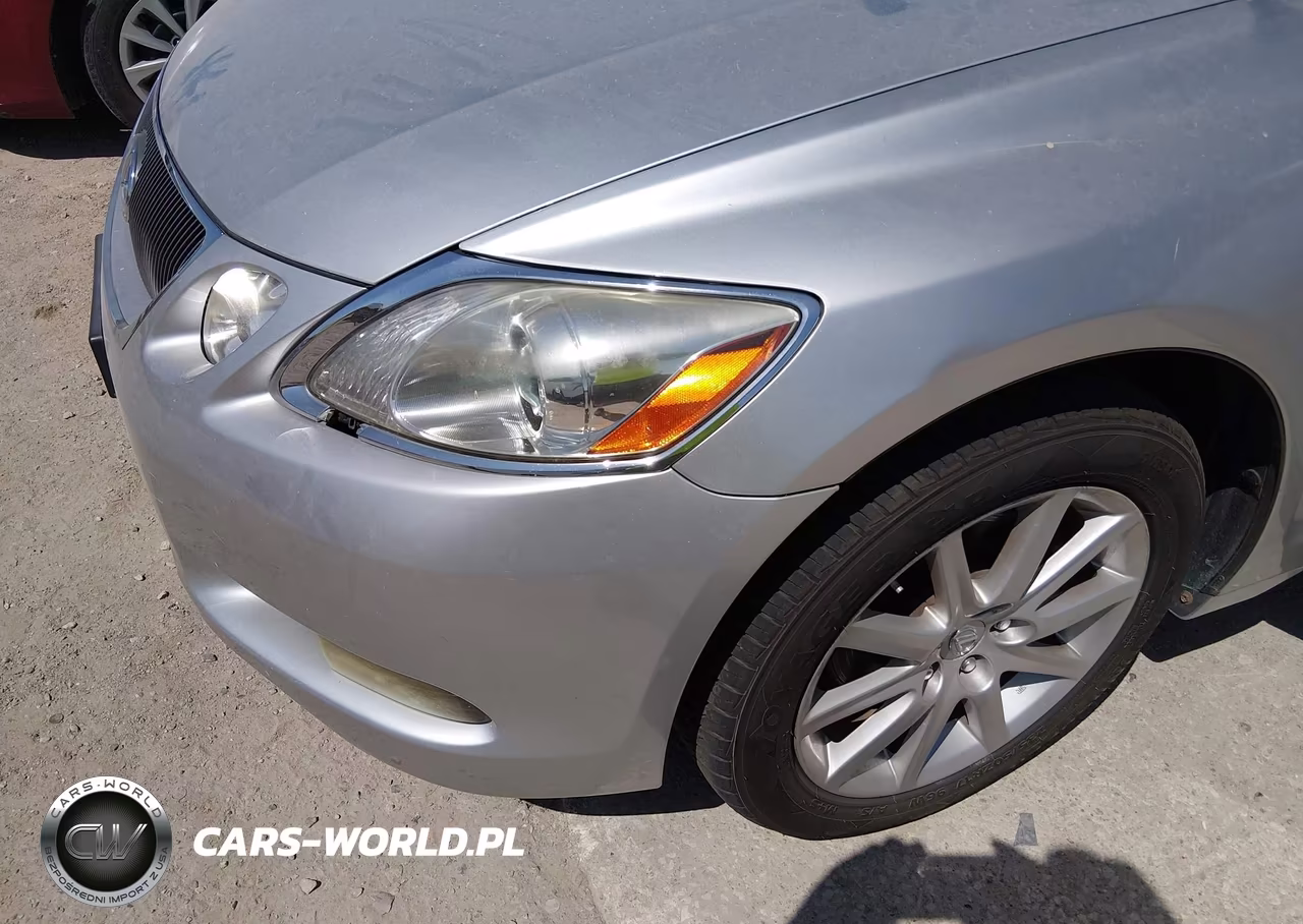 2006 Lexus Gs 300 VIN:JTHCH96S560020612 - 6