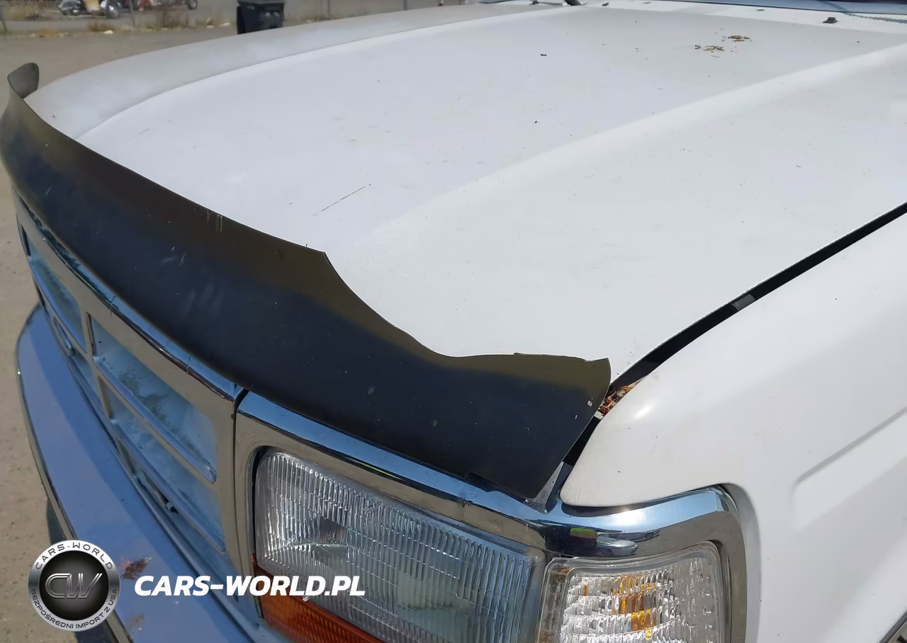 1995 Ford F250 VIN:1FTHX26GXSKA39751 - 12
