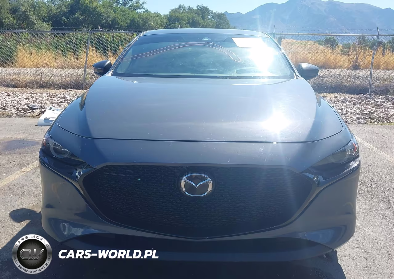 2021 Mazda Mazda3 Premium VIN:JM1BPAMLXM1304306 - 12