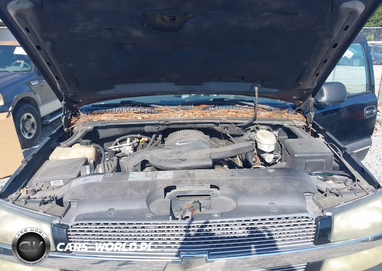 2003 Chevrolet Avalanche 1500 VIN:3GNEC13T23G332909 - 10