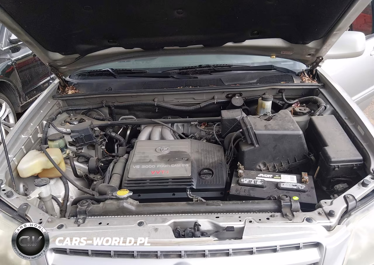 2001 Toyota Highlander V6 VIN:JTEHF21A210039061 - 10