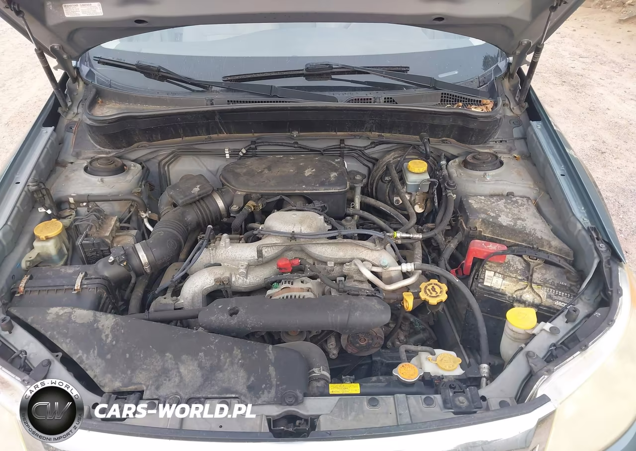 2010 Subaru Forester 2.5X Premium VIN:JF2SH6CC9AH804649 - 10