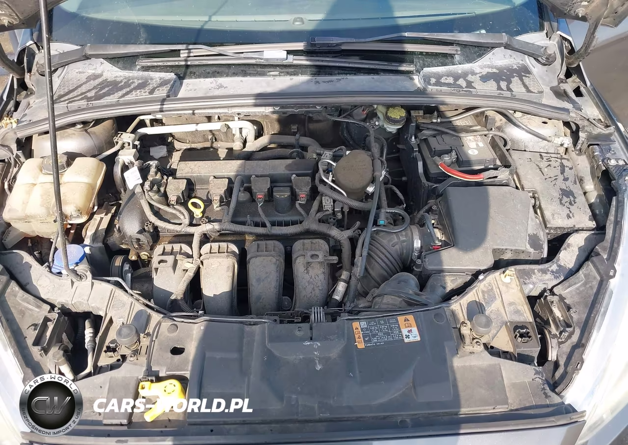 2015 Ford Focus Se VIN:1FADP3F2XFL204115 - 10