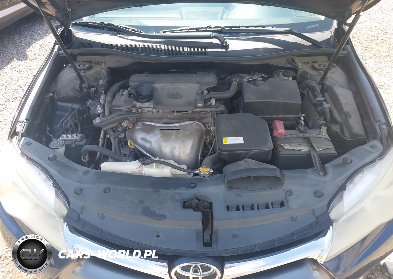 2016 Toyota Camry Le VIN:4T4BF1FKXGR517185 - 10