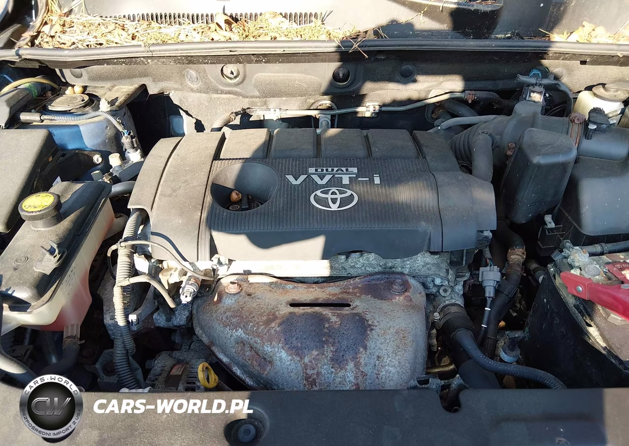 2009 Toyota Rav4 VIN:JTMBF33V79D001829 - 10