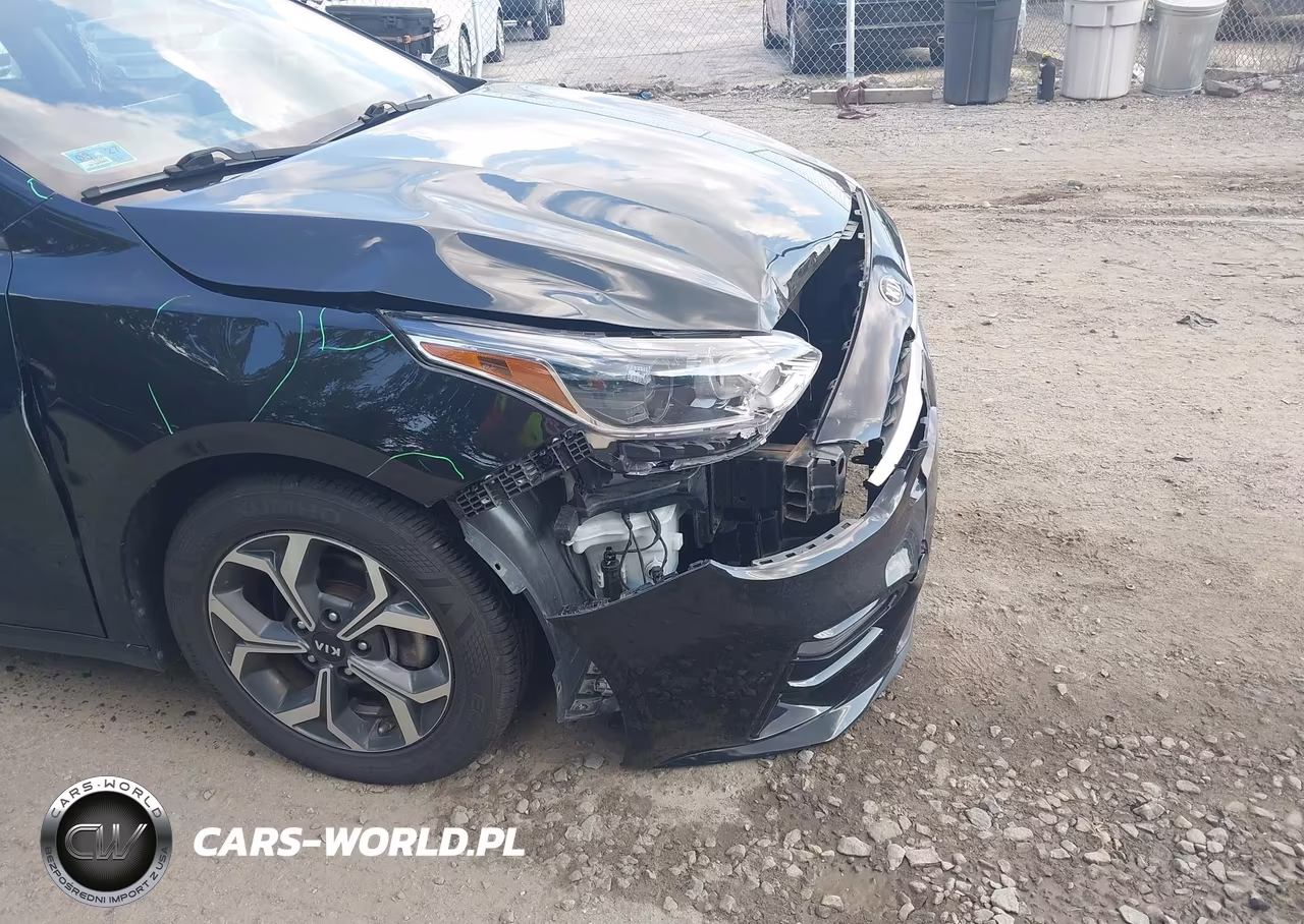 2021 Kia Forte Lxs VIN:3KPF24AD2ME284970 - 17