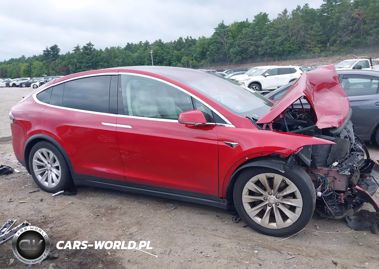 2018 Tesla Model X 100D-75D-P100D VIN:5YJXCDE23JF137587 - 12