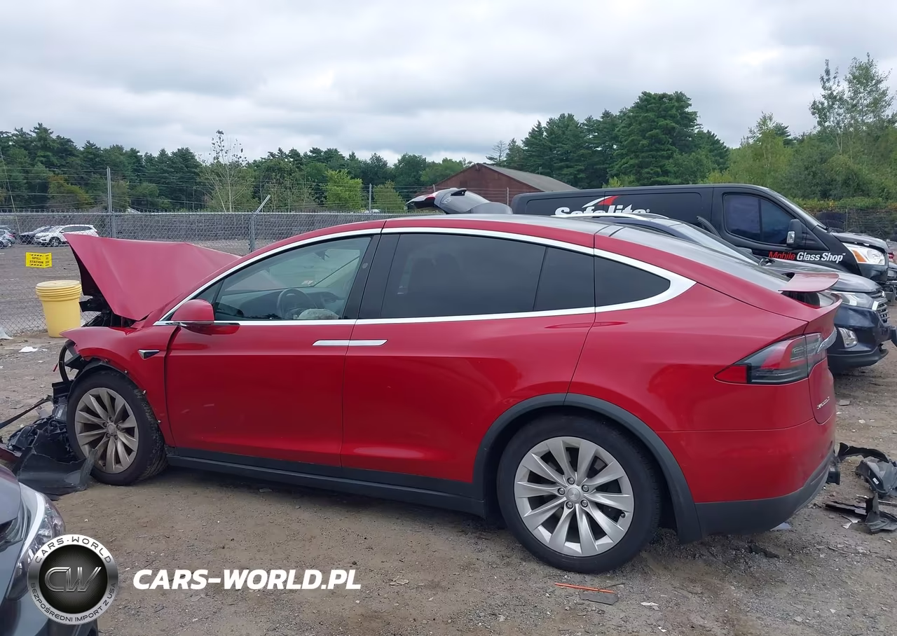 2018 Tesla Model X 100D-75D-P100D VIN:5YJXCDE23JF137587 - 13
