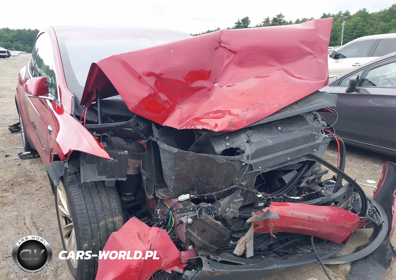 2018 Tesla Model X 100D-75D-P100D VIN:5YJXCDE23JF137587 - 6