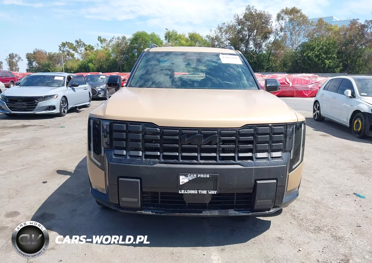 2027 Kia Telluride X-Line Ex VIN:5XYPCES11VG016895 - 12