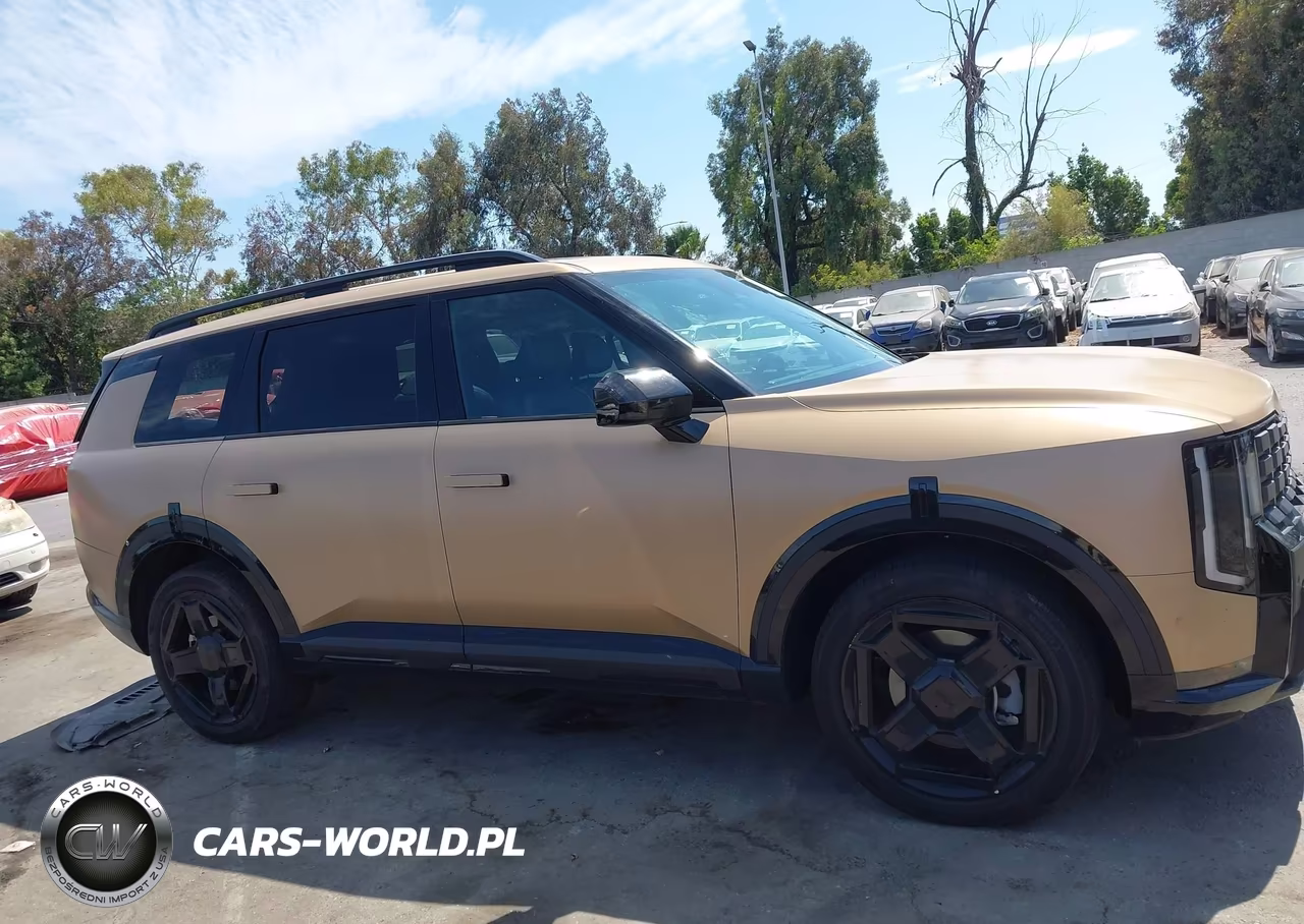 2027 Kia Telluride X-Line Ex VIN:5XYPCES11VG016895 - 13