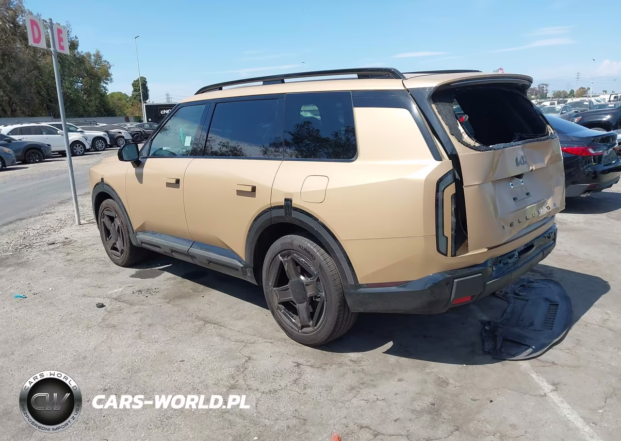 2027 Kia Telluride X-Line Ex VIN:5XYPCES11VG016895 - 3