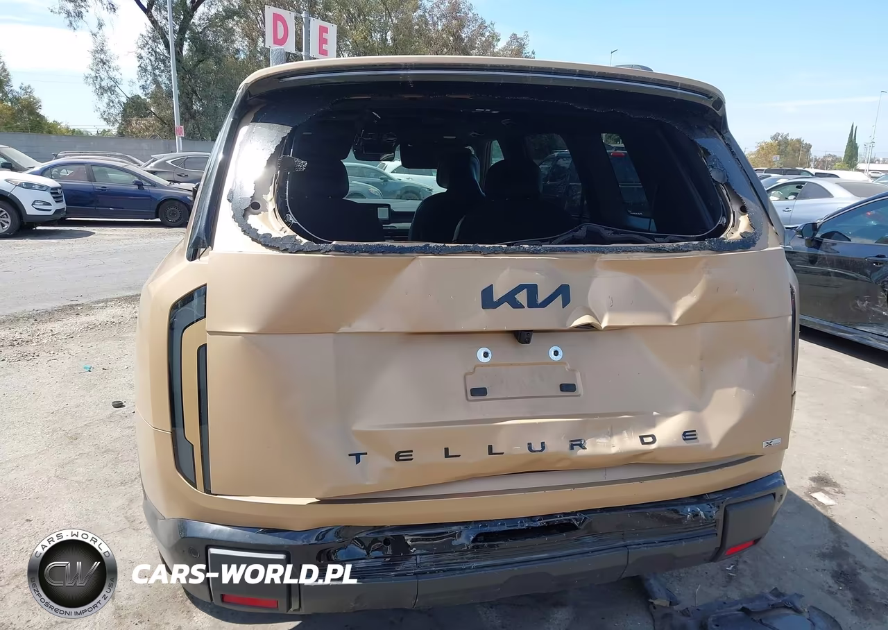 2027 Kia Telluride X-Line Ex VIN:5XYPCES11VG016895 - 6