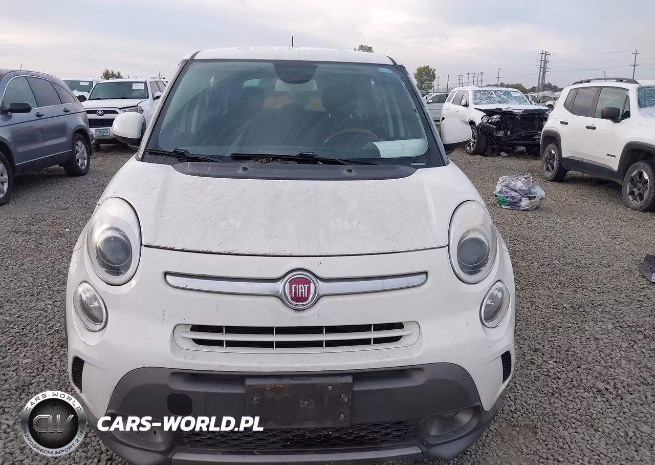 2014 Fiat 500L Trekking VIN:ZFBCFADHXEZ019596 - 6
