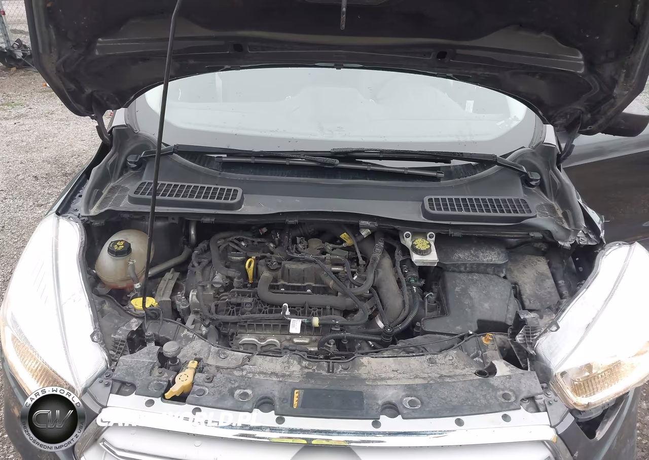 2019 Ford Escape Se VIN:1FMCU0GD4KUA33858 - 10