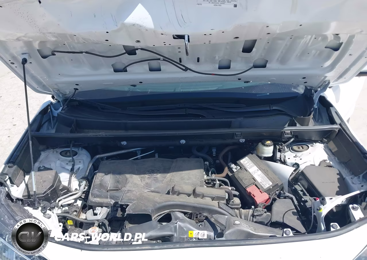 2019 Toyota Rav4 Xle Premium VIN:2T3C1RFV3KW029444 - 10
