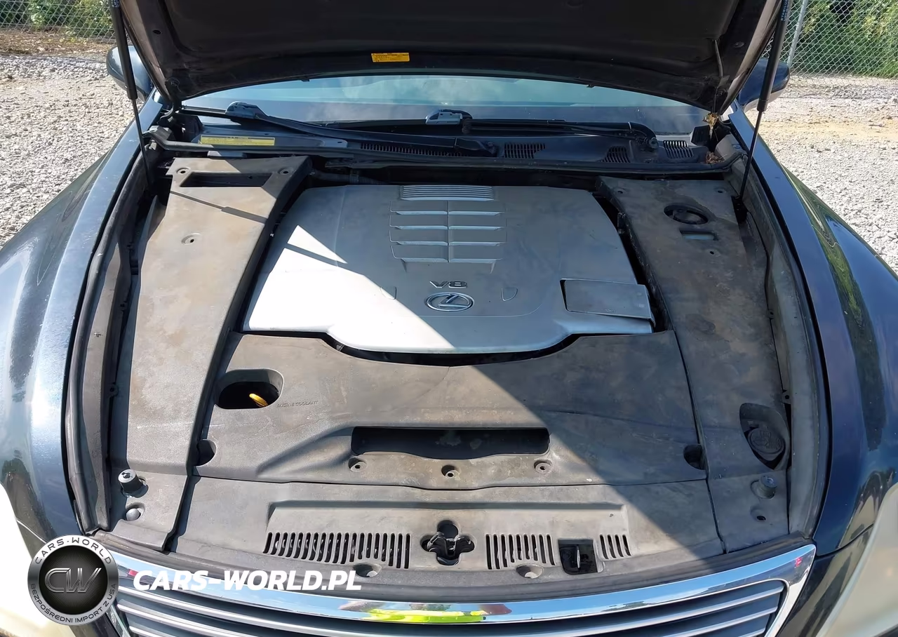 2007 Lexus Ls 460 VIN:JTHBL46FX75039807 - 10