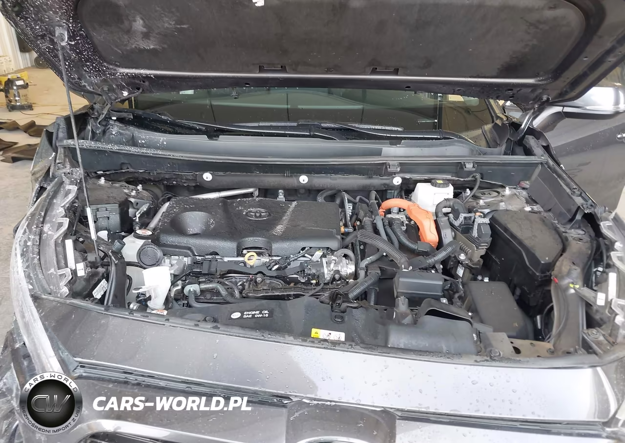 2024 Toyota Rav4 Hybrid Xle VIN:2T3RWRFV9RW207640 - 10