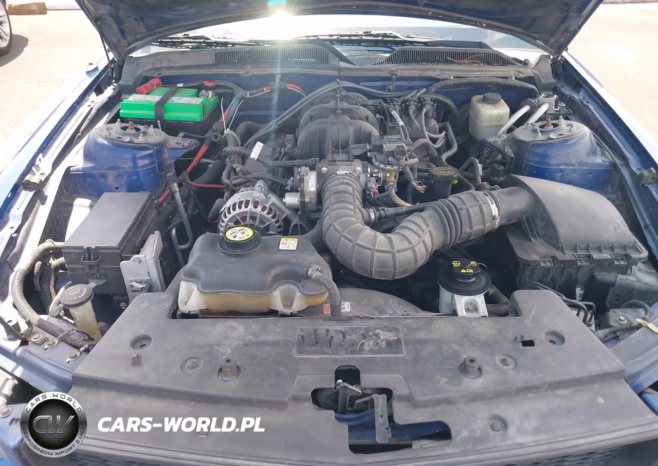 2006 Ford Mustang V6 VIN:1ZVFT84NX65206053 - 10