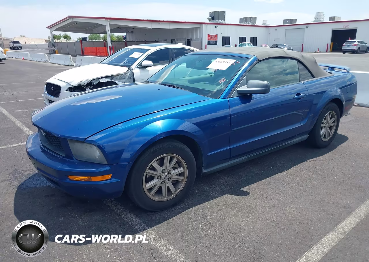 2006 Ford Mustang V6 VIN:1ZVFT84NX65206053 - 2