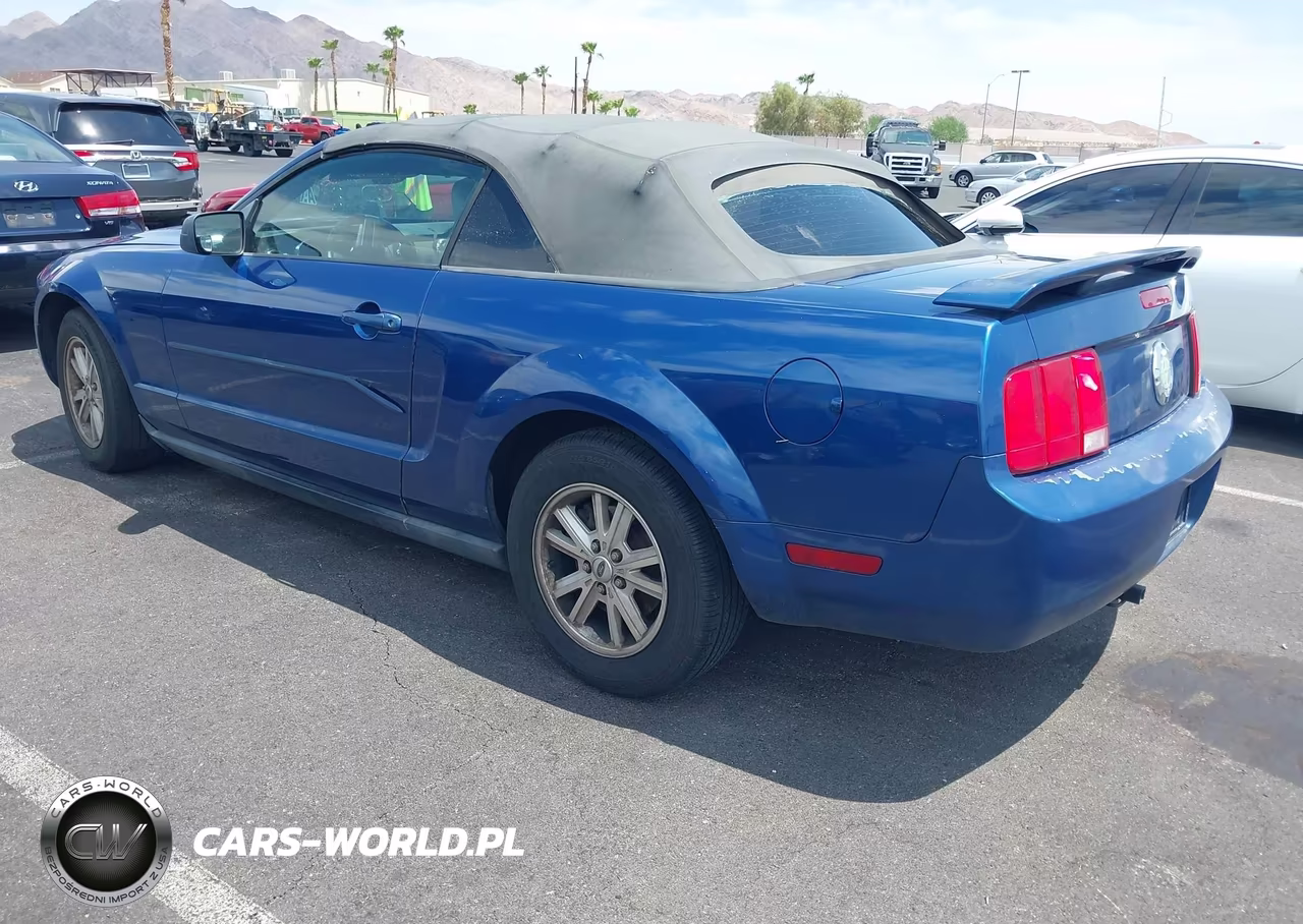 2006 Ford Mustang V6 VIN:1ZVFT84NX65206053 - 3