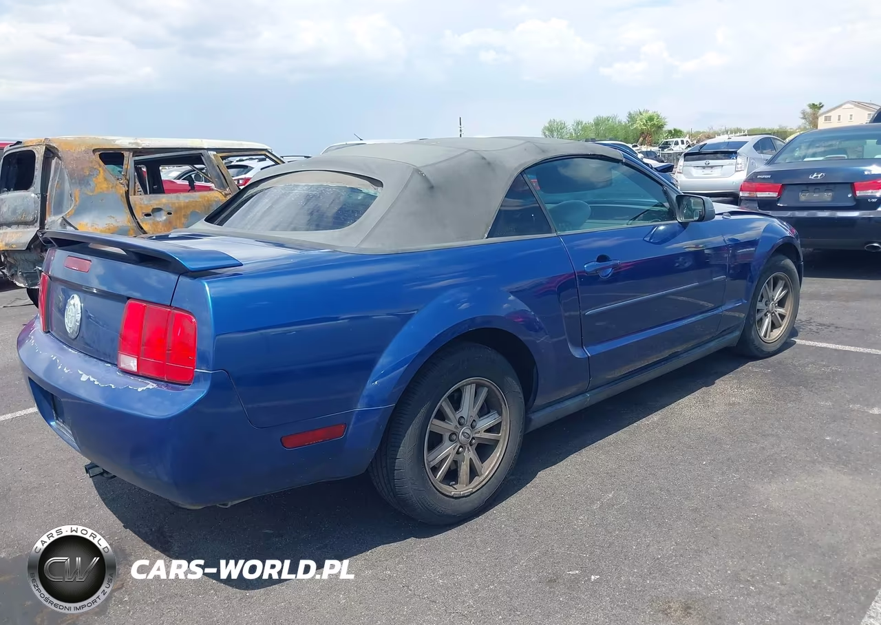 2006 Ford Mustang V6 VIN:1ZVFT84NX65206053 - 4