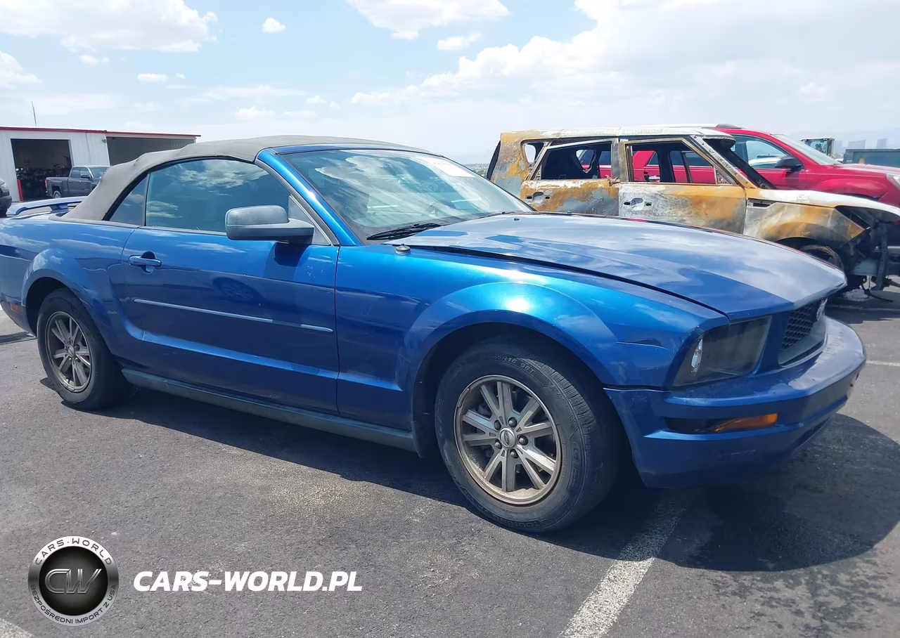 2006 Ford Mustang V6 VIN:1ZVFT84NX65206053 - 6