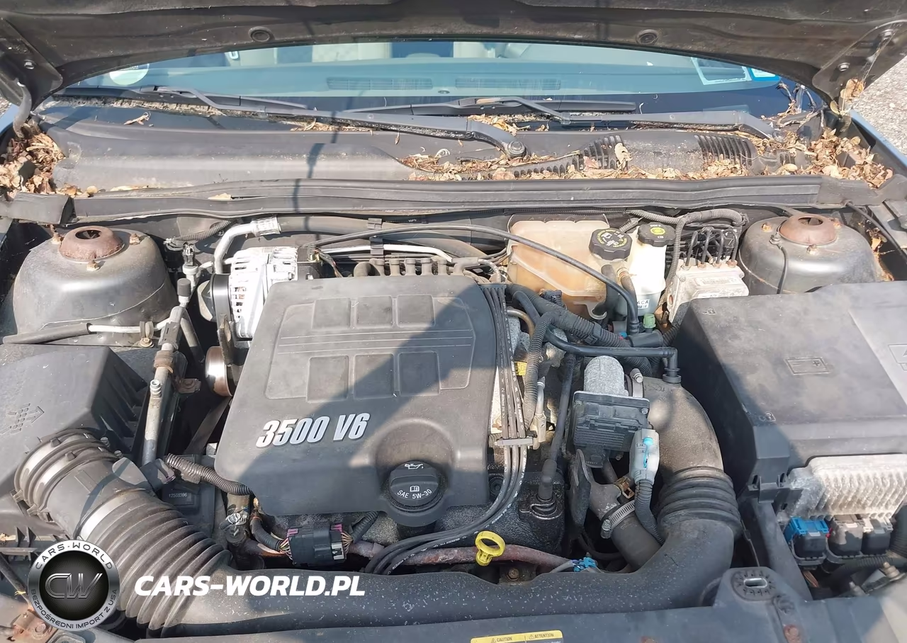 2005 Chevrolet Malibu Ls VIN:1G1ZT54815F195342 - 10