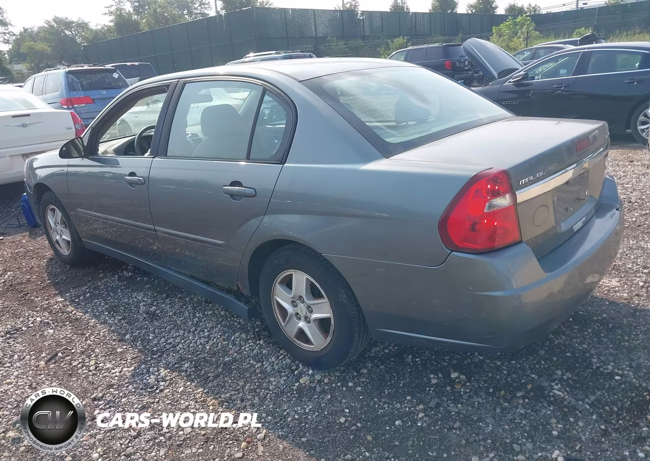 2005 Chevrolet Malibu Ls VIN:1G1ZT54815F195342 - 3