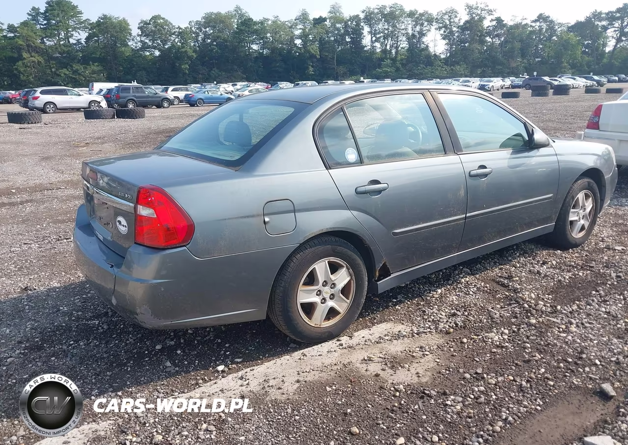 2005 Chevrolet Malibu Ls VIN:1G1ZT54815F195342 - 4