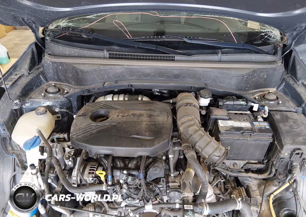 2021 Kia Seltos Sx Turbo VIN:KNDETCA24M7148485 - 10