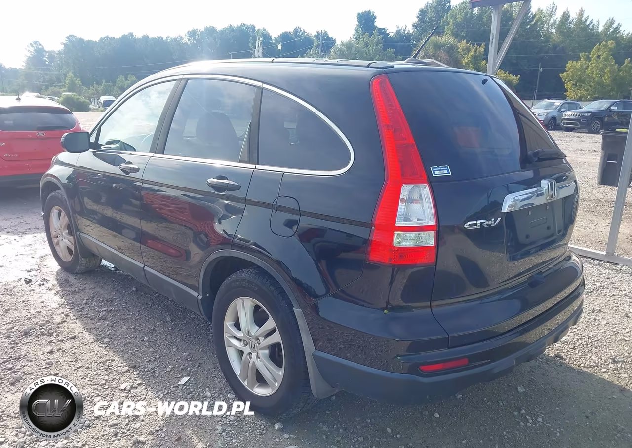 2010 Honda Cr-V Ex-L VIN:5J6RE4H79AL033591 - 3