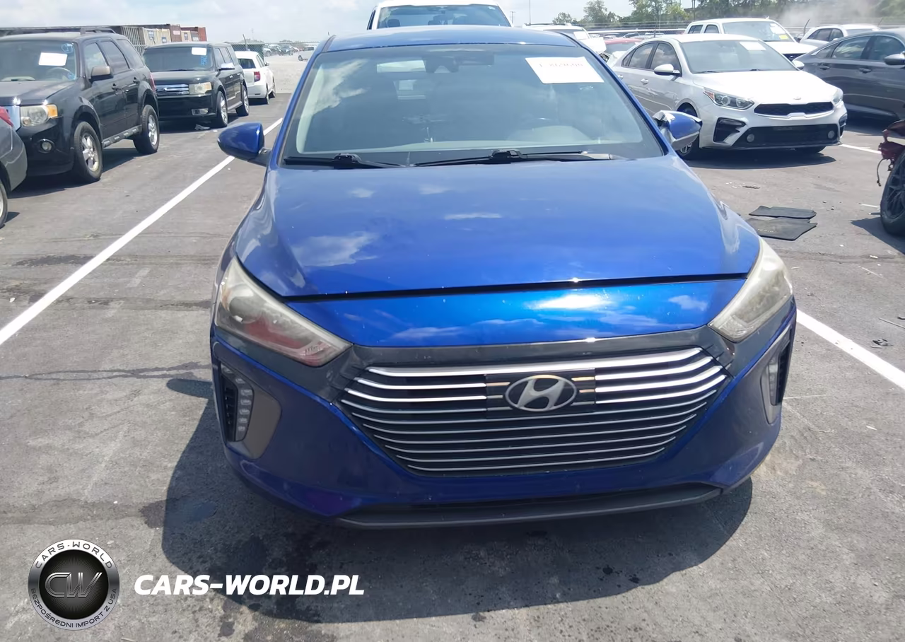 2019 Hyundai Ioniq Hybrid Sel VIN:KMHC75LCXKU119760 - 13