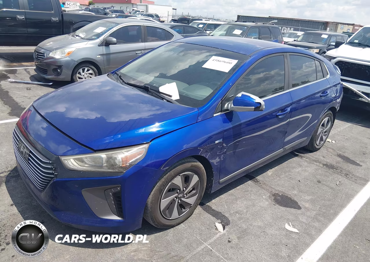 2019 Hyundai Ioniq Hybrid Sel VIN:KMHC75LCXKU119760 - 2