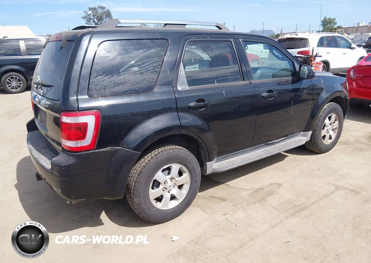 2009 Ford Escape Limited VIN:1FMCU04779KD01354 - 4