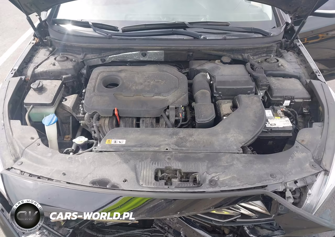 2015 Hyundai Sonata Sport VIN:5NPE34AF0FH100845 - 10