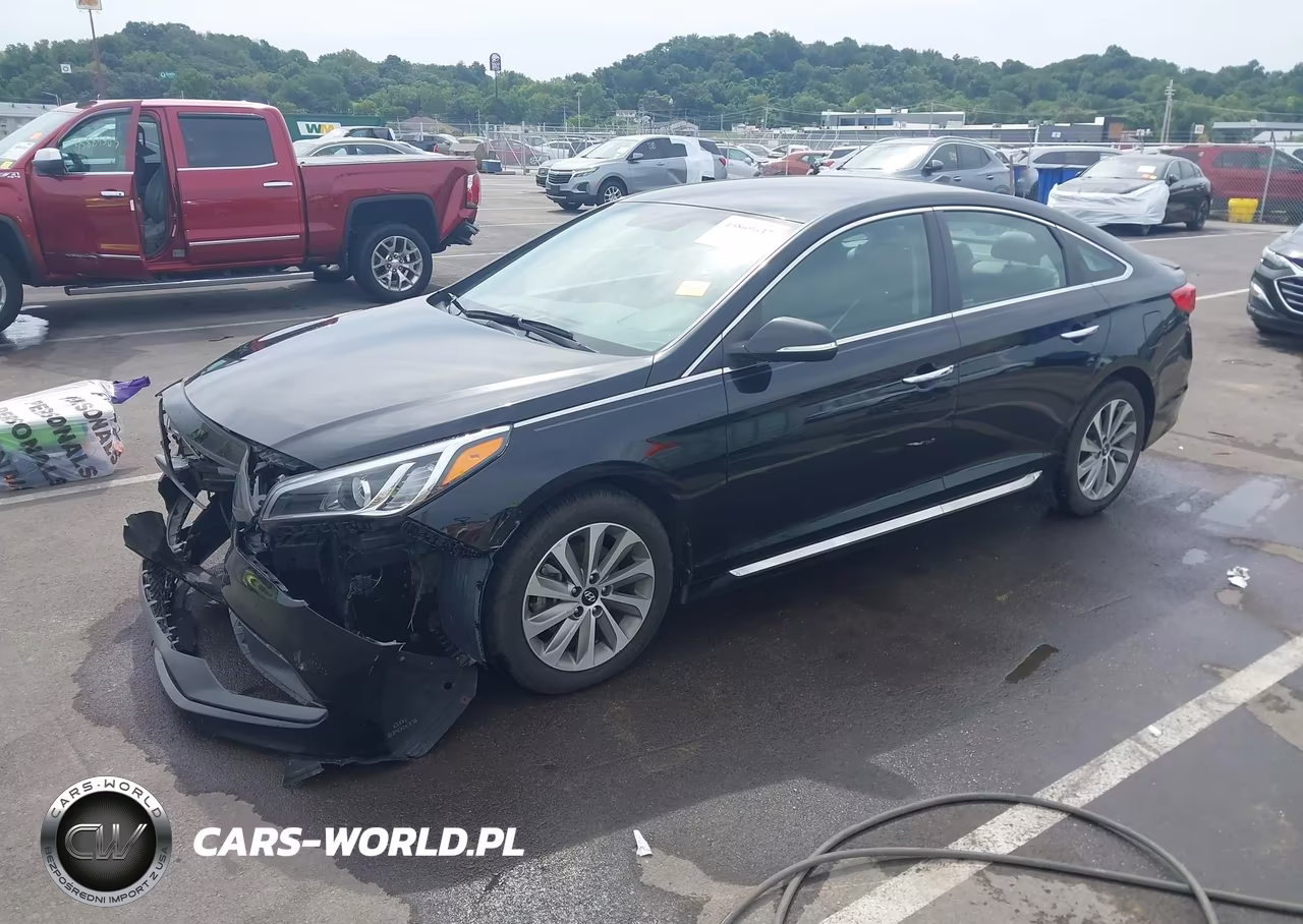 2015 Hyundai Sonata Sport VIN:5NPE34AF0FH100845 - 2