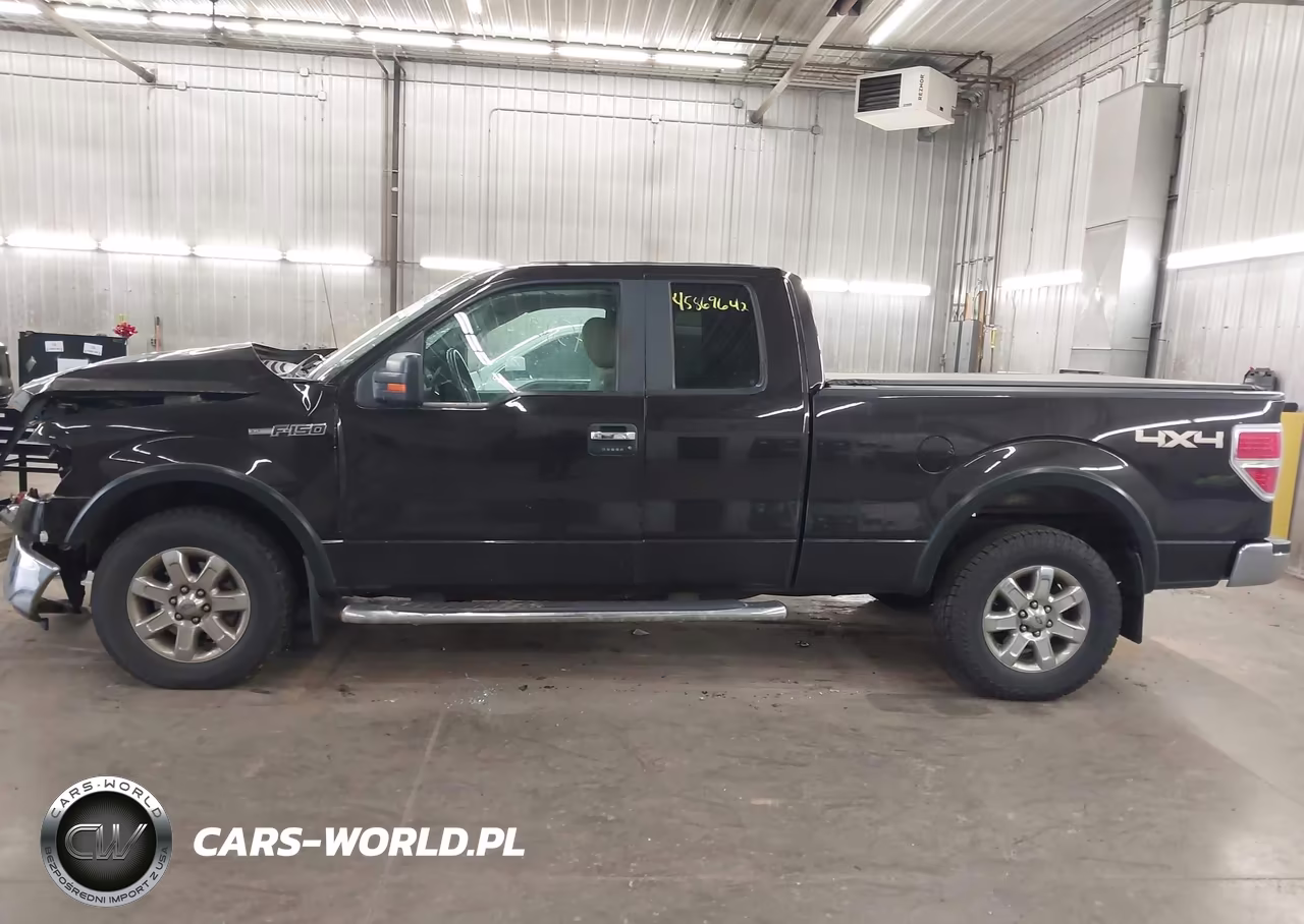 2013 Ford F-150 Xlt VIN:1FTFX1EF5DKD25939 - 15