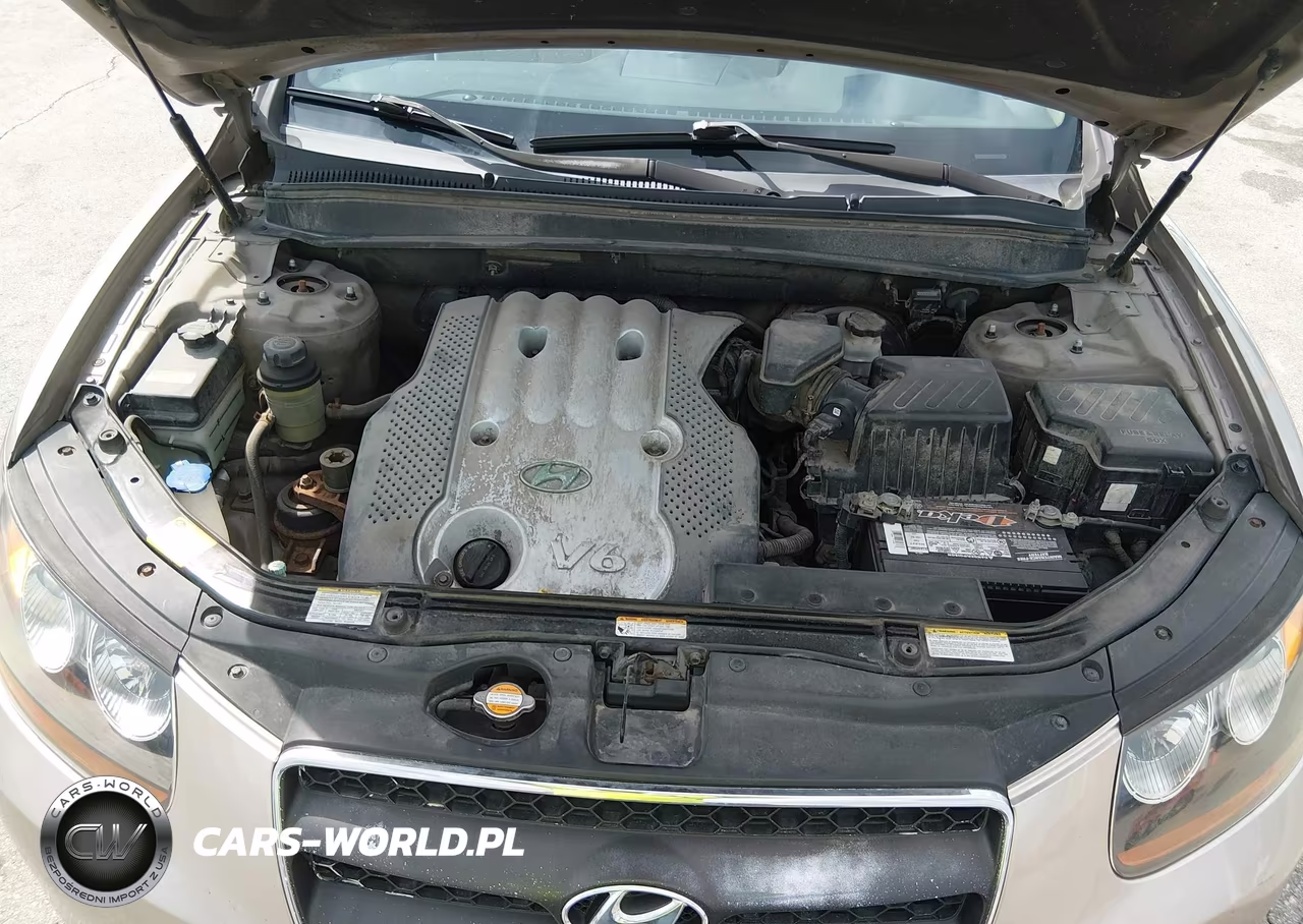 2007 Hyundai Santa Fe Gls VIN:5NMSG73D37H063941 - 10