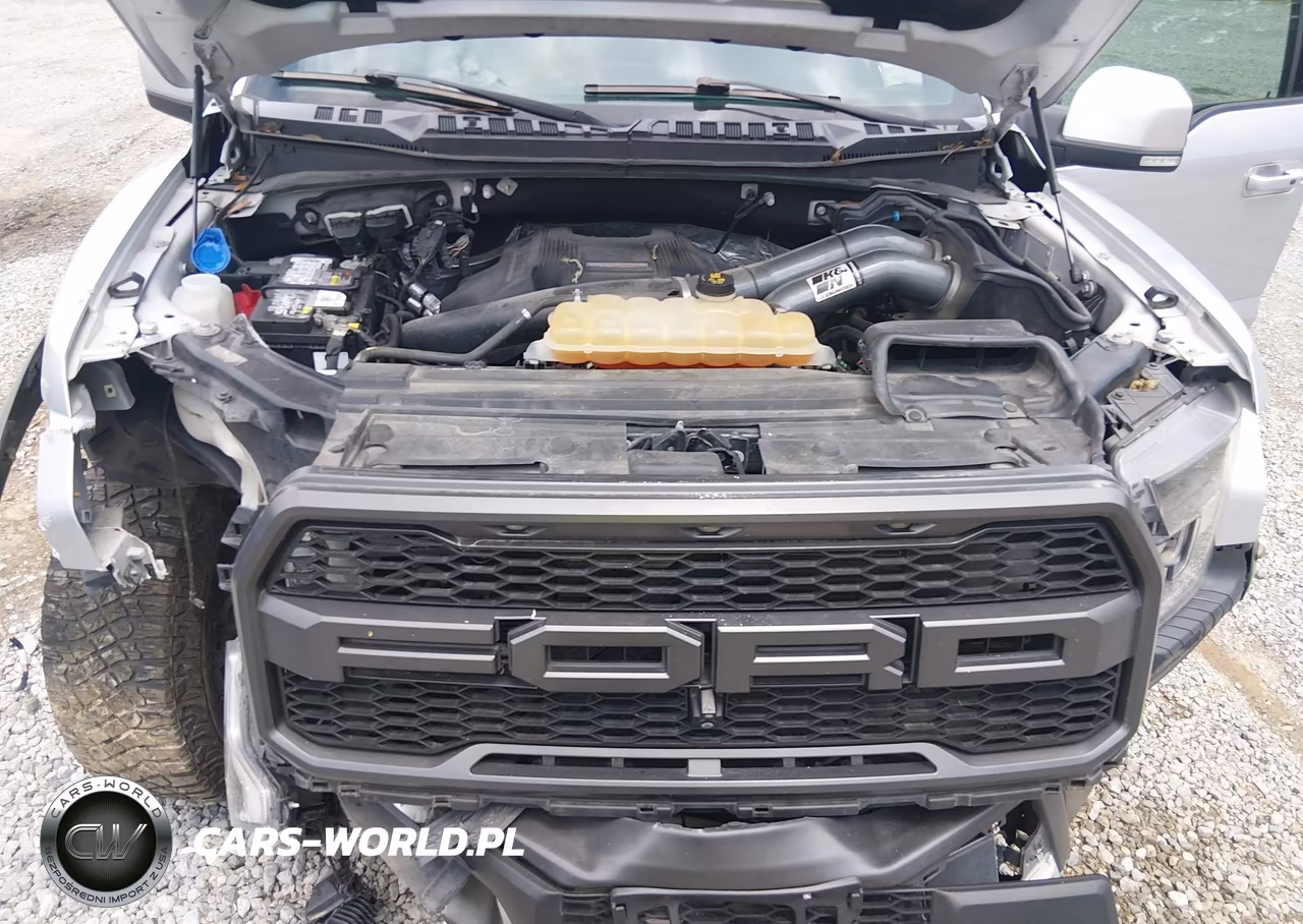 2018 Ford F-150 Raptor VIN:1FTFW1RG1JFE46140 - 10