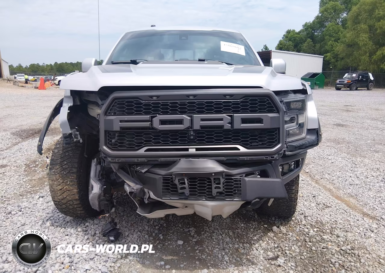 2018 Ford F-150 Raptor VIN:1FTFW1RG1JFE46140 - 12