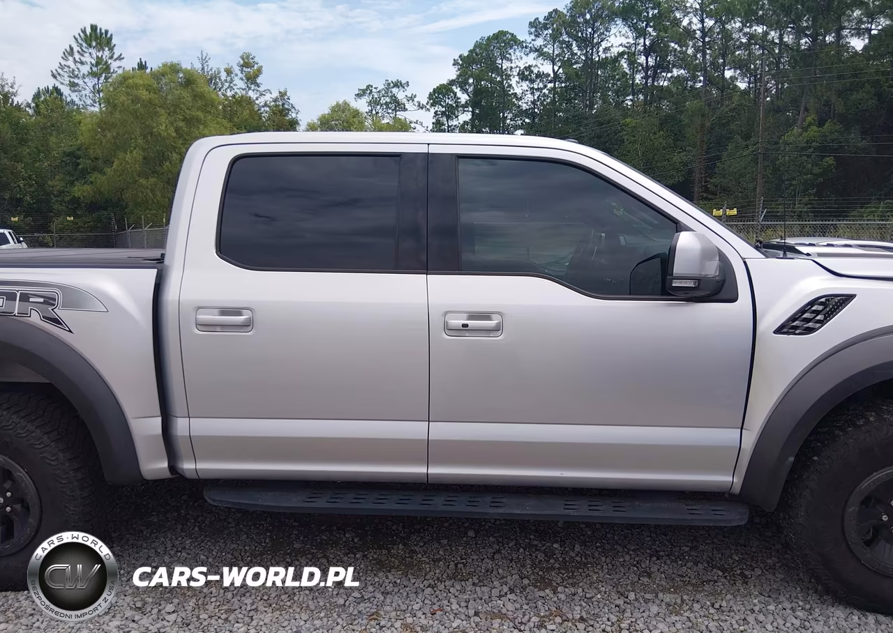 2018 Ford F-150 Raptor VIN:1FTFW1RG1JFE46140 - 13