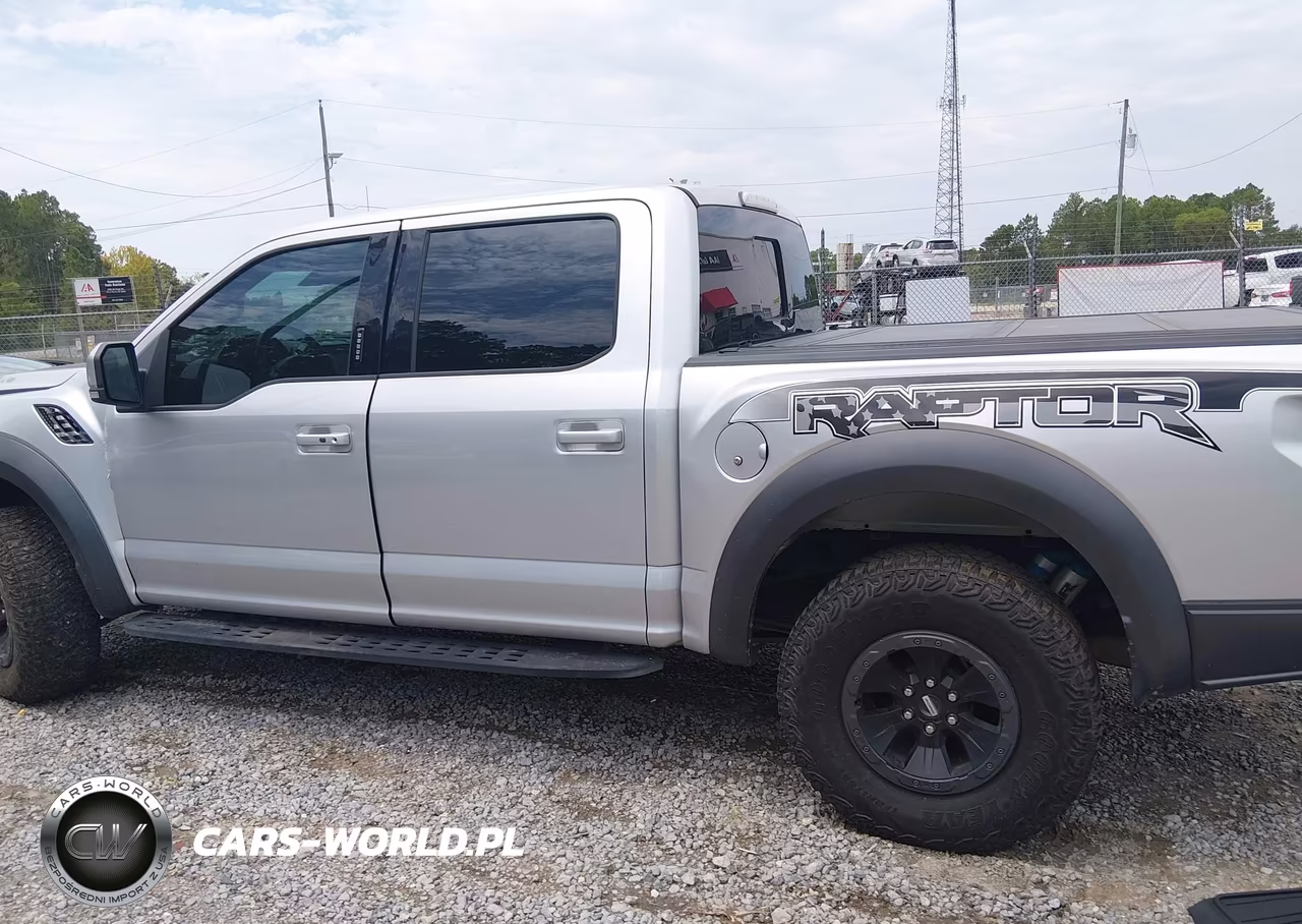 2018 Ford F-150 Raptor VIN:1FTFW1RG1JFE46140 - 14