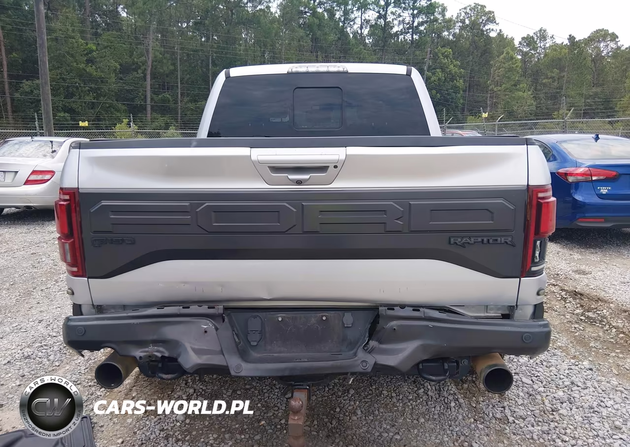 2018 Ford F-150 Raptor VIN:1FTFW1RG1JFE46140 - 16